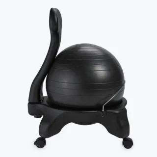 Gaiam Balance Ball Chair